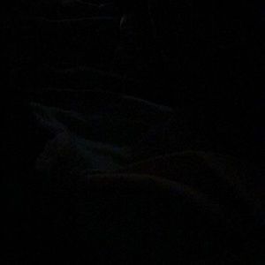 Meet your Posher, Maggie